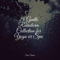25 Gentle Rainstorm Collection for Yoga or Spa
