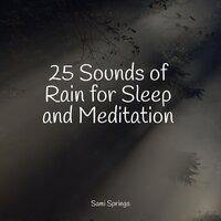 25 Sounds of Rain for Sleep and Meditation