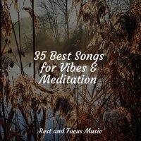 35 Best Songs for Vibes & Meditation