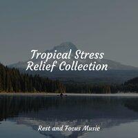 Tropical Stress Relief Collection