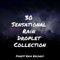 30 Sensational Rain Droplet Collection