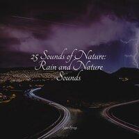 25 Sounds of Nature: Rain and Nature Sounds