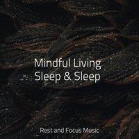 Mindful Living Sleep & Sleep