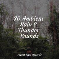 30 Ambient Rain & Thunder Sounds