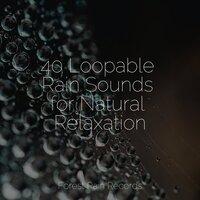 40 Loopable Rain Sounds for Natural Relaxation