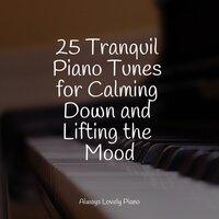 25 Tranquil Piano Tunes for Calming Down and Lifting the Mood