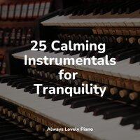 25 Calming Instrumentals for Tranquility