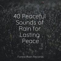 40 Peaceful Sounds of Rain for Lasting Peace