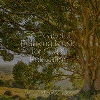 30 Peaceful Relaxing Music for Spa & Relaxation