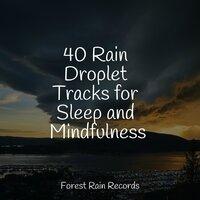 40 Rain Droplet Tracks for Sleep and Mindfulness