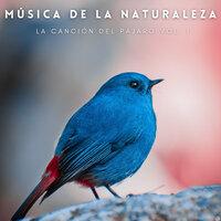 Música De La Naturaleza: La Canción Del Pájaro Vol. 1