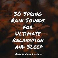 30 Spring Rain Sounds for Ultimate Relaxation and Sleep