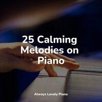 25 Calming Melodies on Piano