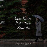 Spa Rain Paradise Sounds