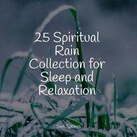 25 Spiritual Rain Collection for Sleep and Relaxation
