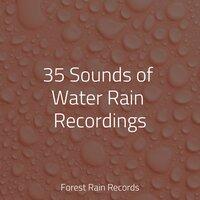 35 Sounds of Water Rain Recordings