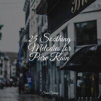 25 Soothing Melodies for Pure Rain