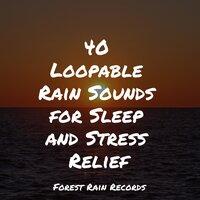 40 Loopable Rain Sounds for Sleep and Stress Relief