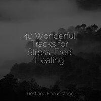 40 Wonderful Tracks for Stress-Free Healing