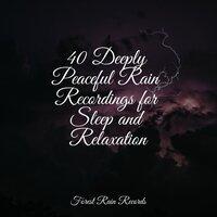 40 Deeply Peaceful Rain Recordings for Sleep and Relaxation