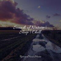 Sounds of Nature | Sleep | Chill
