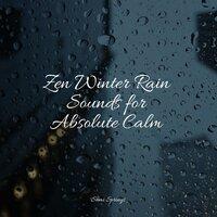 Zen Winter Rain Sounds for Absolute Calm