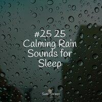 #25 25 Calming Rain Sounds for Sleep