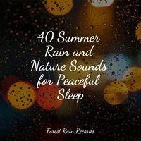40 Summer Rain and Nature Sounds for Peaceful Sleep
