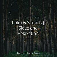 Calm & Sounds | Sleep and Relaxation