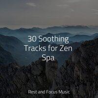 30 Soothing Tracks for Zen Spa