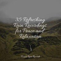 35 Refreshing Rain Recordings for Peace and Relaxation