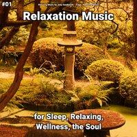 #01 Relaxation Music for Sleep, Relaxing, Wellness, the Soul