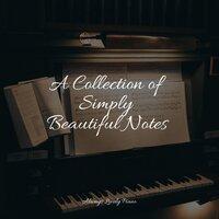 A Collection of Simply Beautiful Notes
