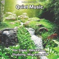 #01 Quiet Music for Sleep, Relaxation, Studying, Migraine Aid