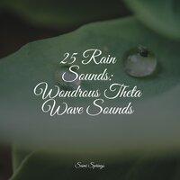25 Rain Sounds: Wondrous Theta Wave Sounds