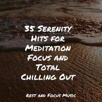 35 Serenity Hits for Meditation Focus and Total Chilling Out