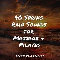 40 Spring Rain Sounds for Massage & Pilates