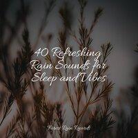 40 Refreshing Rain Sounds for Sleep and Vibes