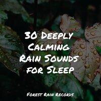 30 Deeply Calming Rain Sounds for Sleep