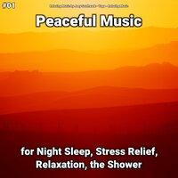 #01 Peaceful Music for Night Sleep, Stress Relief, Relaxation, the Shower