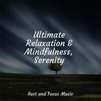 Ultimate Relaxation & Mindfulness, Serenity