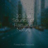 30 Spa Sounds of Rain and Nature