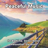 #01 Peaceful Music for Bedtime, Stress Relief, Relaxation, the Brain