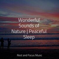 Wonderful Sounds of Nature | Peaceful Sleep