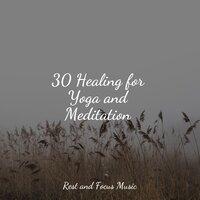 30 Healing for Yoga and Meditation