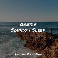 Soft Nature Melodies | Peaceful Sleep