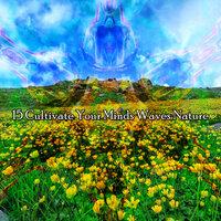15 Cultivate Your Minds Waves Nature