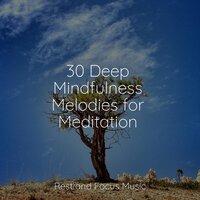 30 Deep Mindfulness Melodies for Meditation