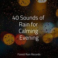 40 Sounds of Rain for Calming Evening