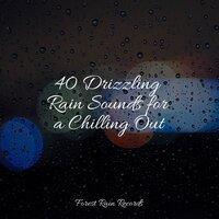 40 Drizzling Rain Sounds for a Chilling Out